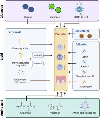 Metabolic influences on T cell in psoriasis: a literature review